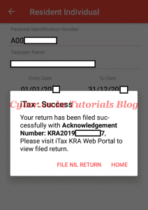 itax returns filed successfully on itax app