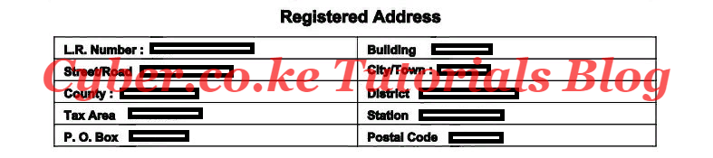 kra pin registered address details