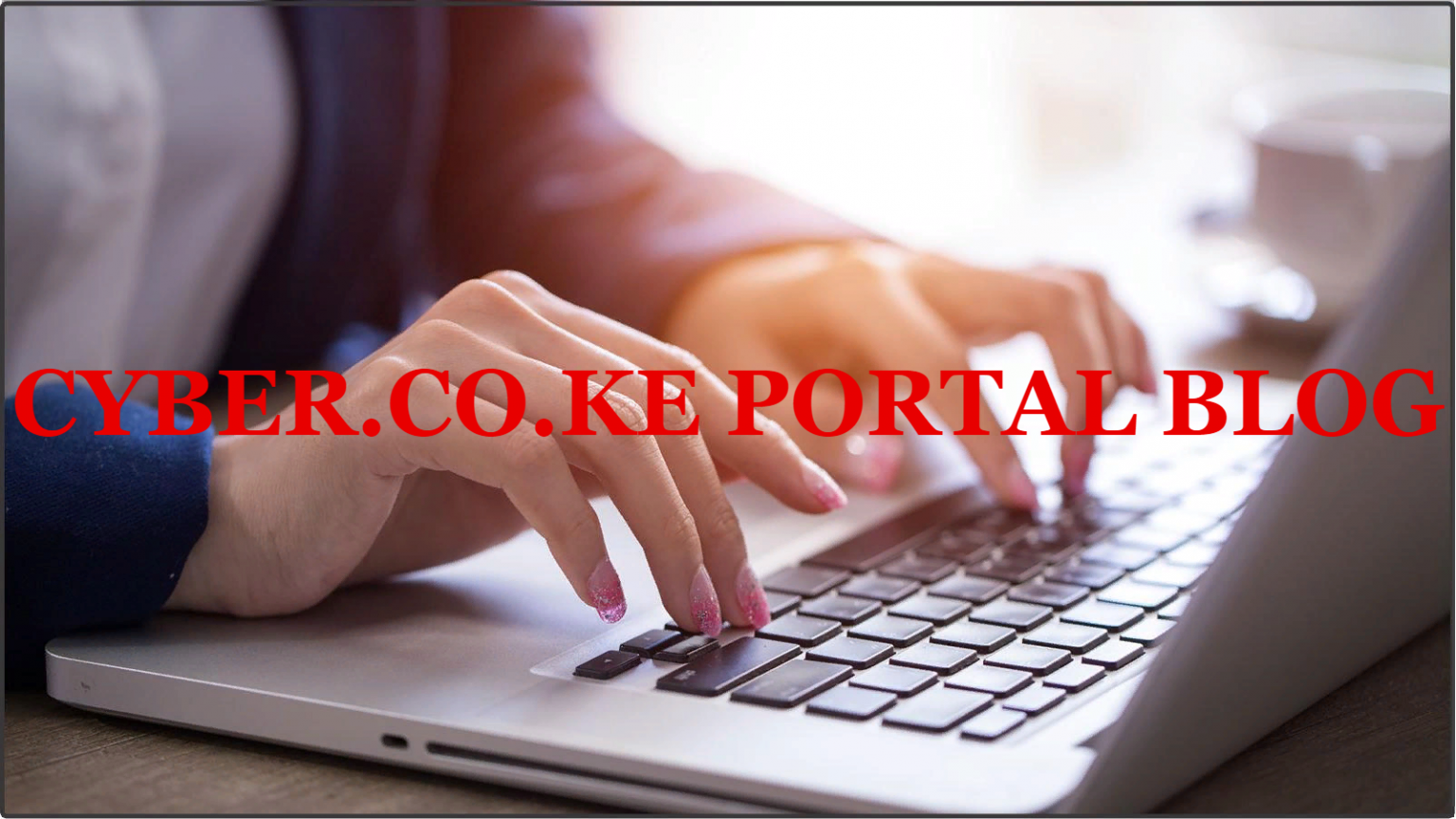 What Is KRA PIN Portal