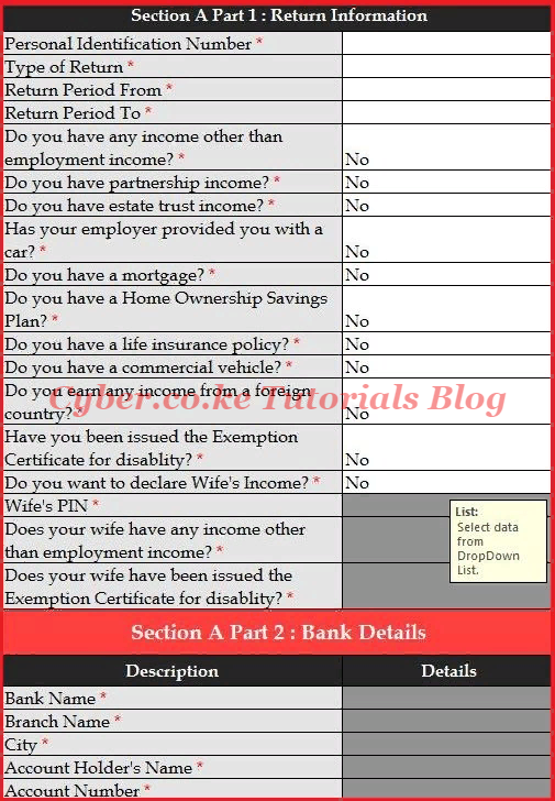 basic information section of the kra returns form