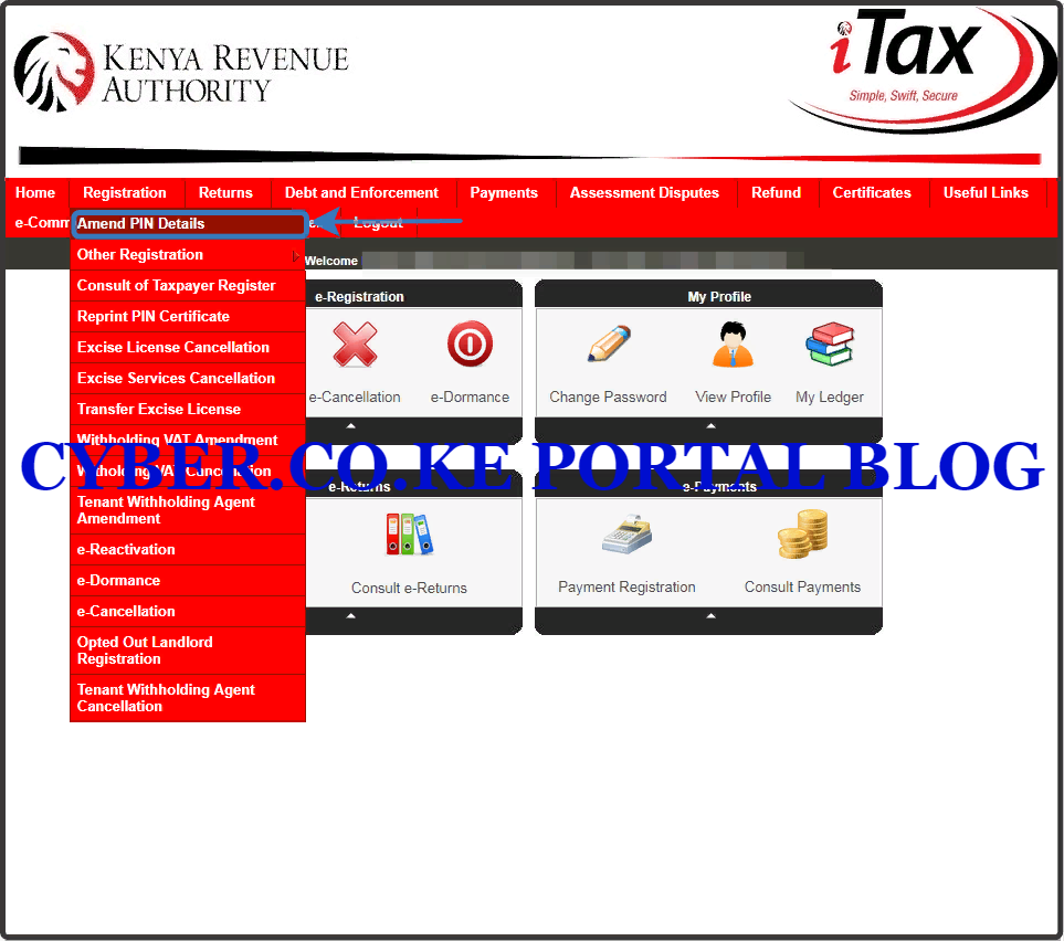 click on amend pin details under the registration menu tab