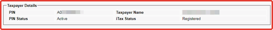 taxpayer details on the itax pin checker