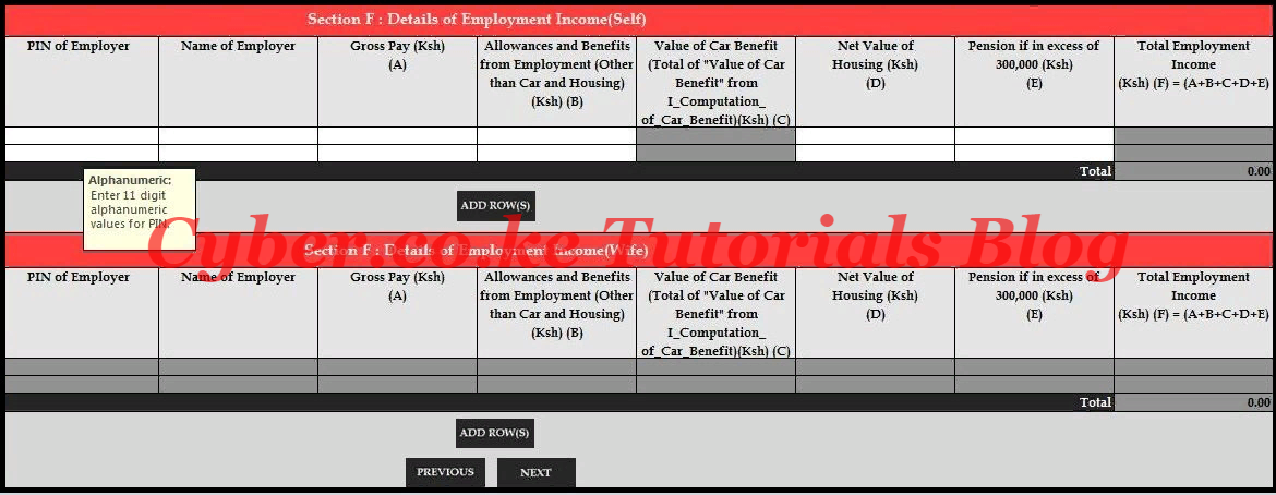 Employment Income Section of the KRA Template