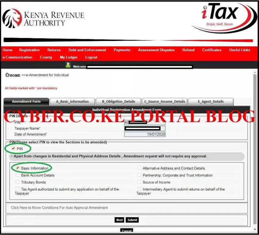 select section of kra pin to amend