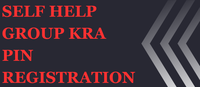 self help group kra pin registration