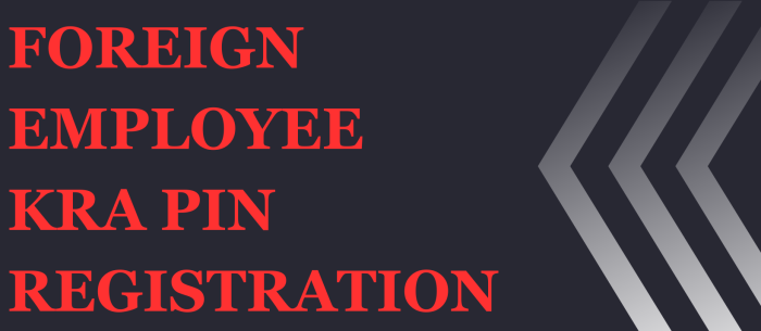 Foreign Employee KRA PIN Registration