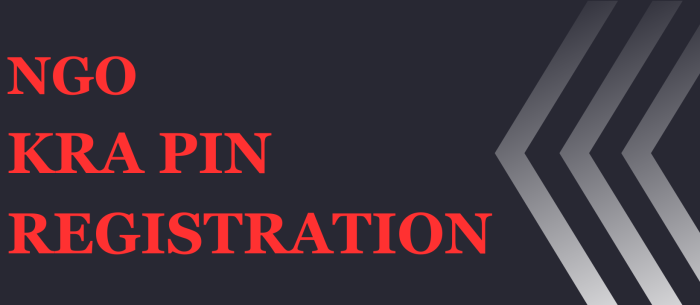 ngo kra pin registration