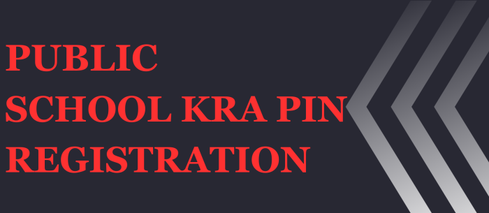 public school kra pin registration