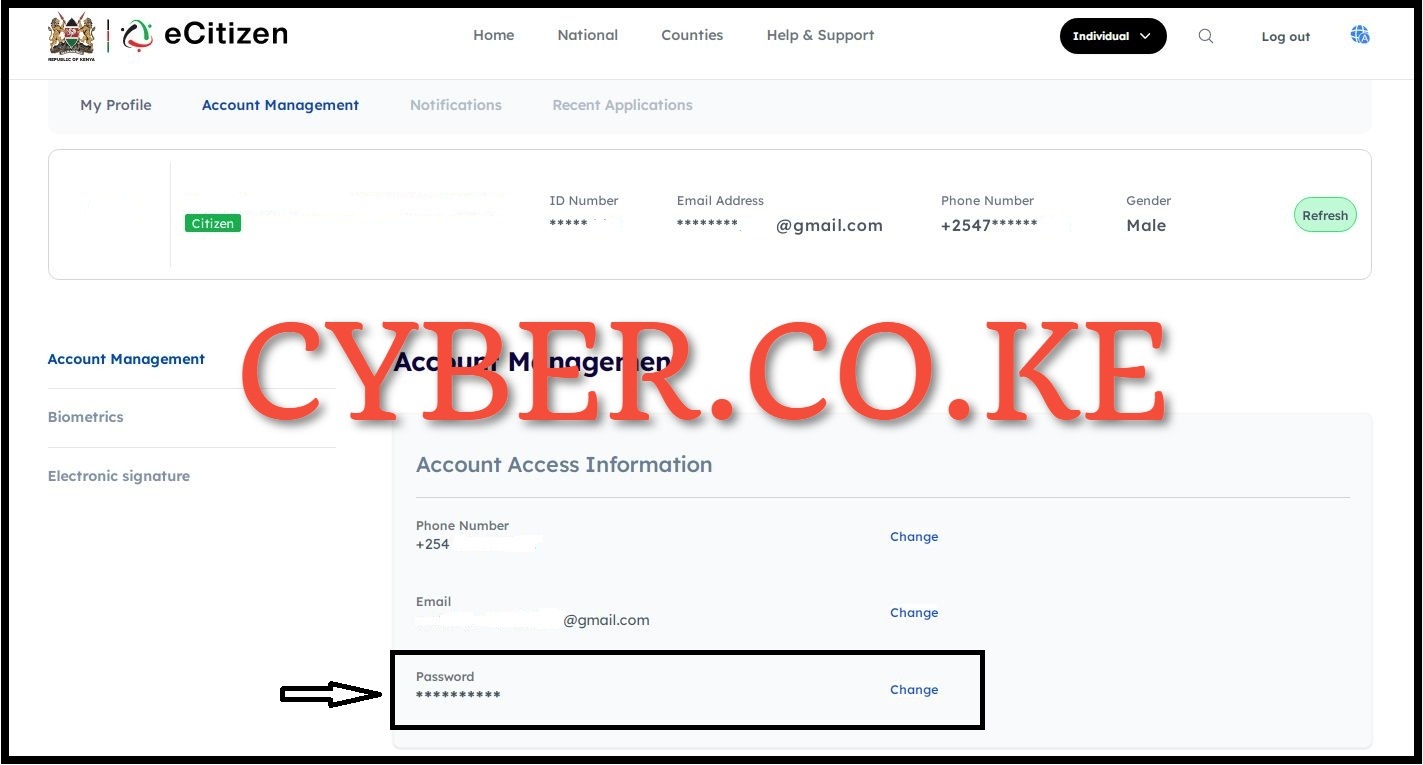 Account Access Information