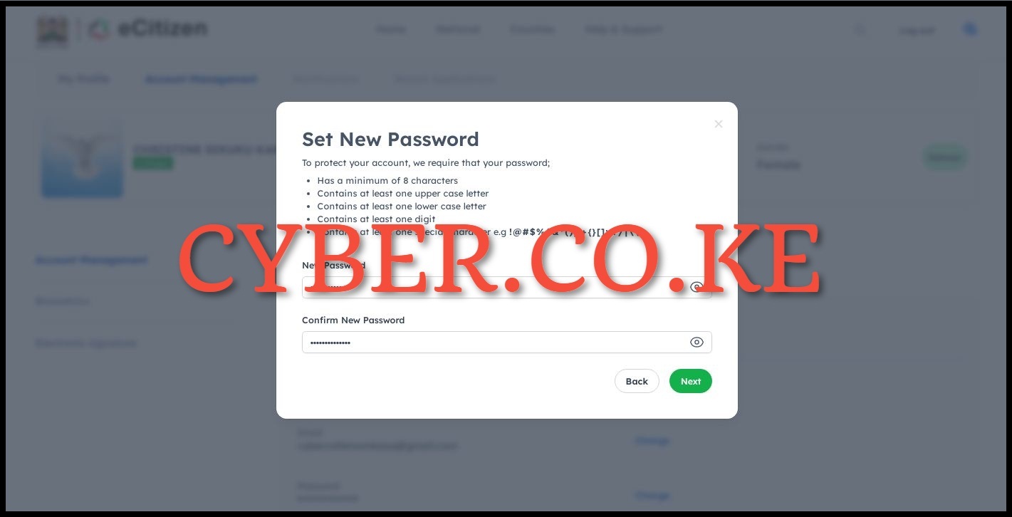 Set New Password On eCitizen Account