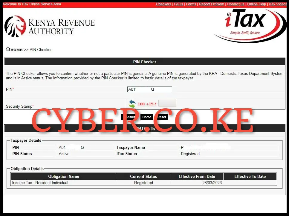 KRA PIN Checker Details (Results)