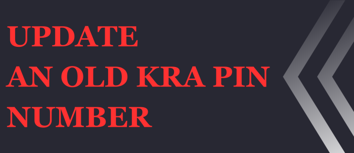 how to update kra pin number