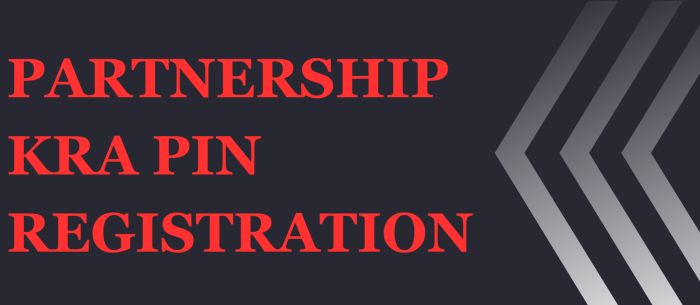 partnership kra pin registration