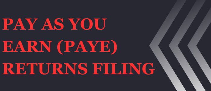 pay as you earn returns filing