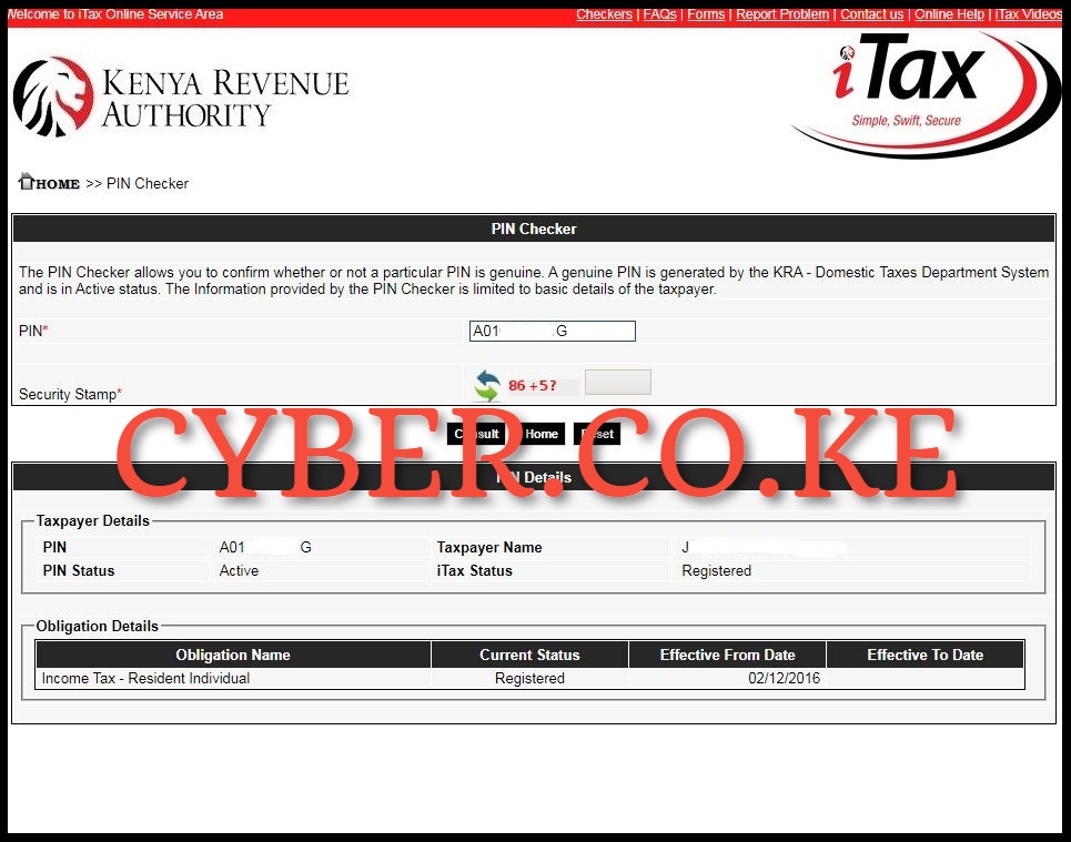 KRA PIN Details on KRA PIN Checker