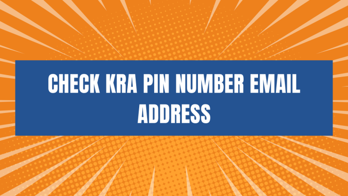 check kra pin number email address