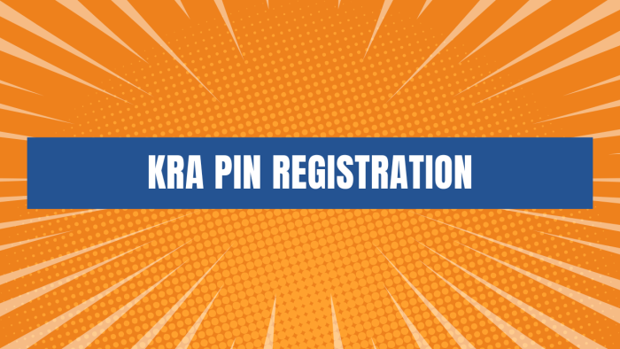 Do you want to Register or Apply for a new KRA PIN Number? Fill and submit your request online for KRA PIN Registration services at CYBER.CO.KE today.