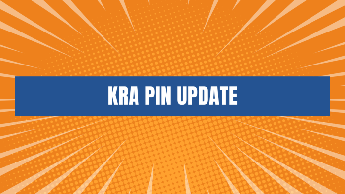 Do you want to Update an old KRA PIN Number on iTax (KRA Portal)? Fill and submit your request online for KRA PIN Update services at CYBER.CO.KE today.