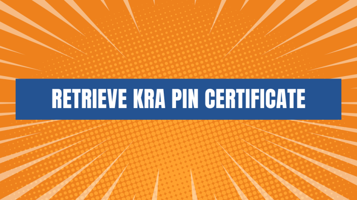 Do you want to Retrieve a Lost KRA PIN Certificate? Learn How To Retrieve KRA PIN Certificate using CYBER.CO.KE KRA PIN Services in Kenya.
