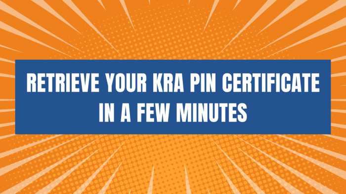 Do you want to Retrieve your KRA PIN Certificate online in less than 5 minutes? Fill and Submit your request online for Retrieval of KRA PIN Certificate using CYBER.CO.KE today.