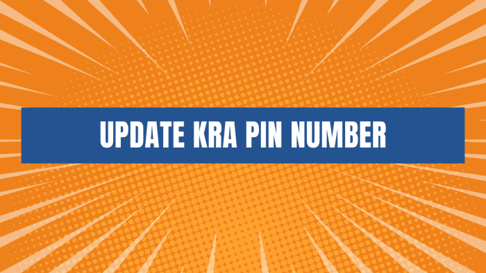 update kra pin nukber