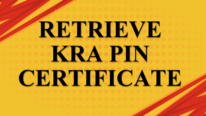Retrieve KRA PIN Certificate – Fill and submit the online service request form and get your KRA PIN Number and KRA PIN Certificate via Email Address and WhatsApp.