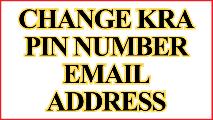 Change KRA PIN Number Email Address
