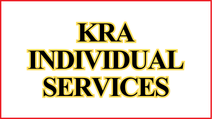 KRA Individual Services