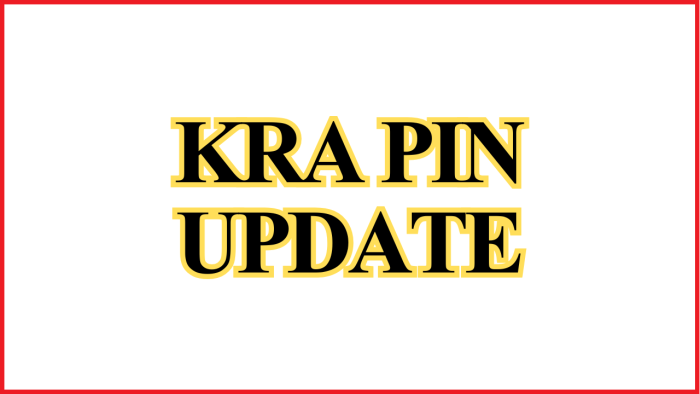 KRA PIN Update