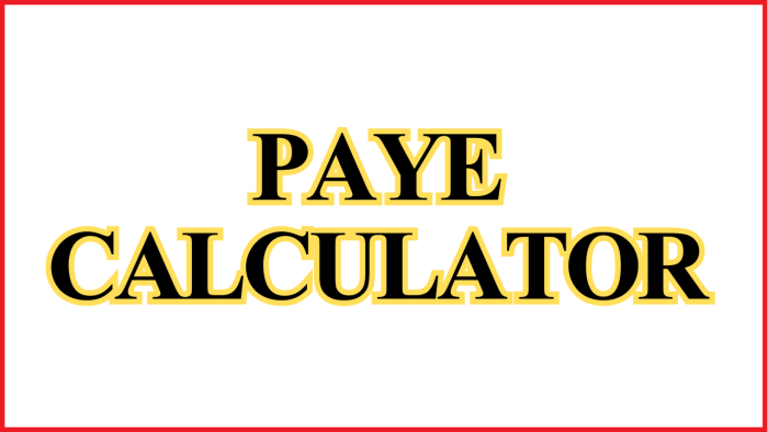 PAYE Calculator