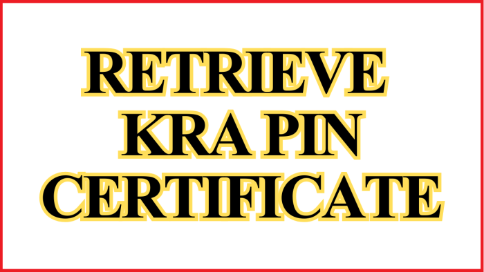 Retrieve KRA PIN Certificate