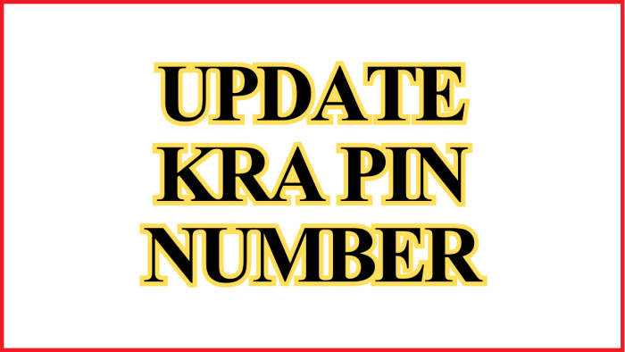 Update KRA PIN Number