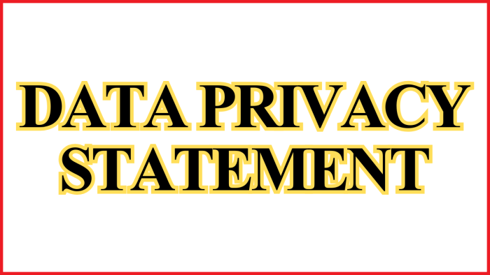 CYBER.CO.KE Data Privacy Statement - Learn how we collect, use, store and protect your personal data in compliance with Kenya’s Data Protection Act.