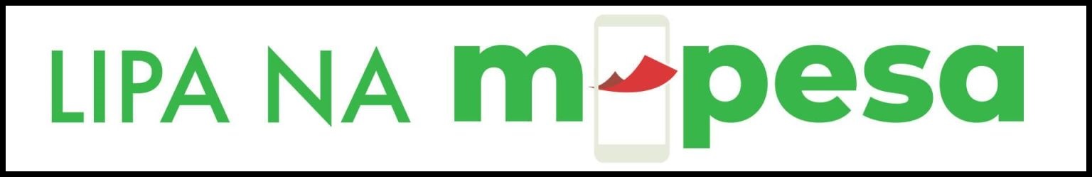 cyber services payment