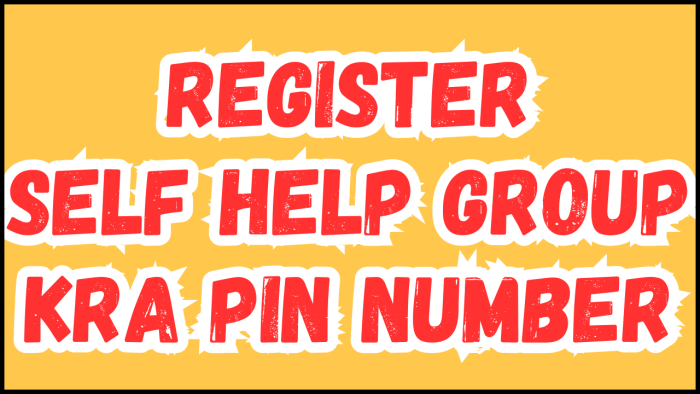 Register Self Help Group KRA PIN Number - Submit your Registration of Self Help Group KRA PIN Number service request and get your KRA PIN Number and KRA PIN Certificate.