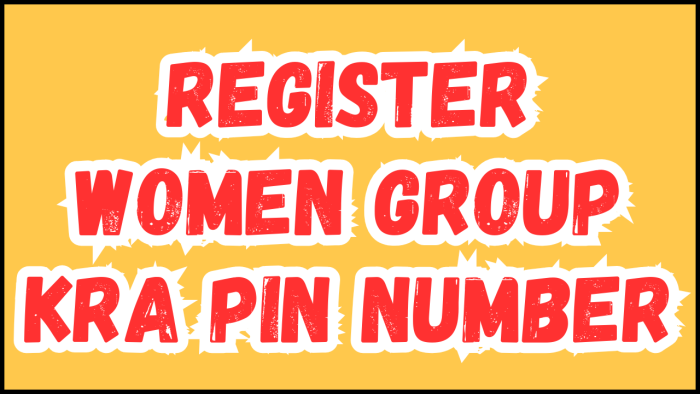Register Women Group KRA PIN Number - Submit your Registration of Women Group KRA PIN Number service request and get your KRA PIN Number and KRA PIN Certificate.