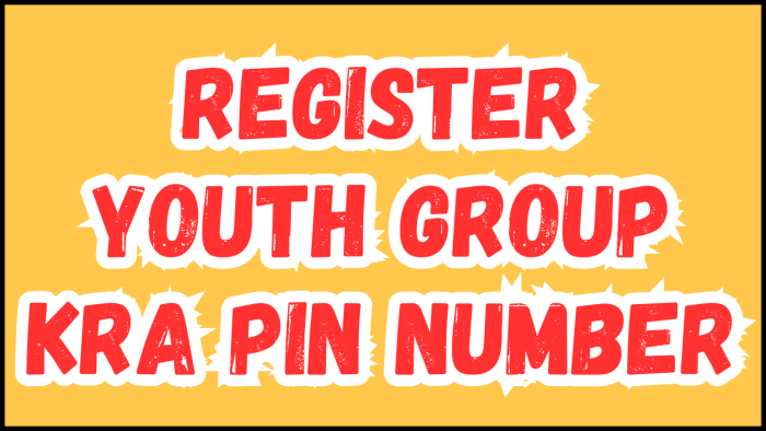 Register Youth Group KRA PIN Number - Submit your Registration of Youth Group KRA PIN Number service request and get your KRA PIN Number and KRA PIN Certificate.