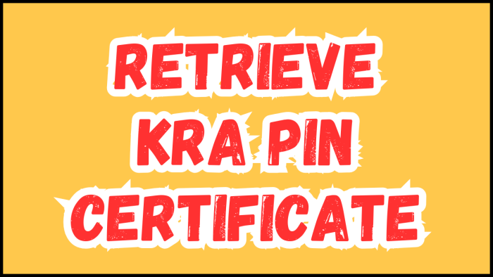 Retrieve KRA PIN Certificate - Submit your Retrieval of KRA PIN Certificate service request and get your KRA PIN Number and KRA PIN Certificate.
