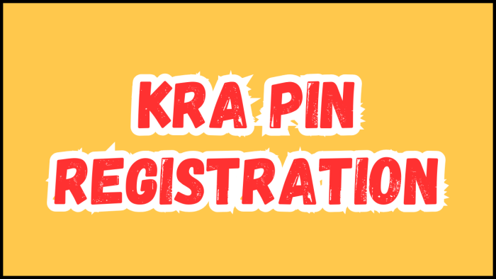 kra pin registration