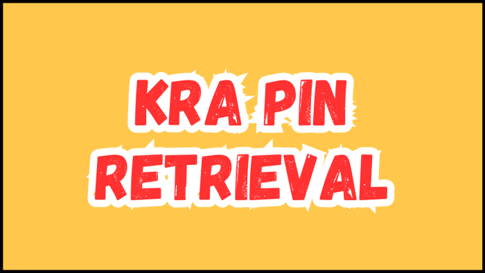 kra pin retrieval