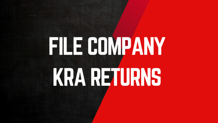 File Company KRA Returns