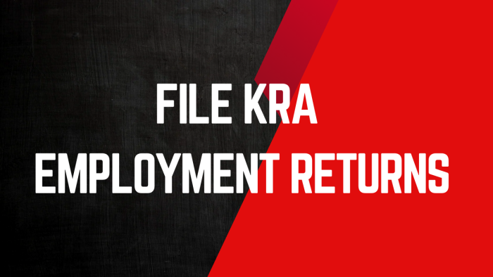 File KRA Employment Returns