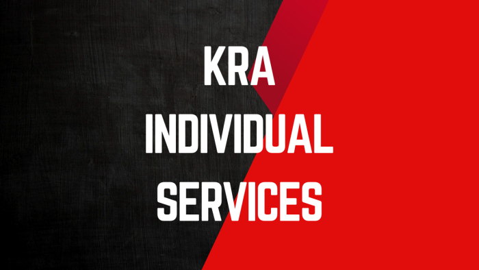 KRA Individual Services