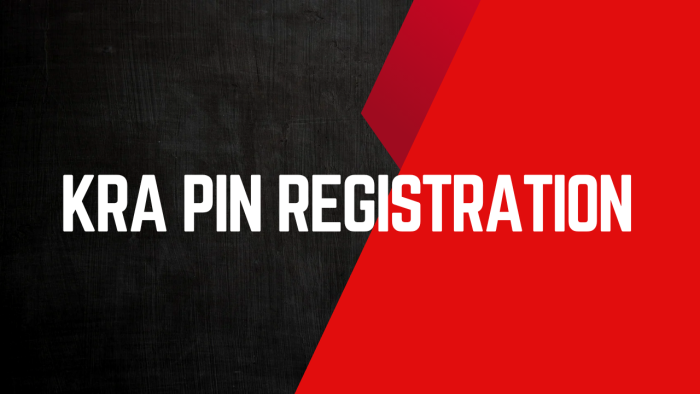 KRA PIN Registration