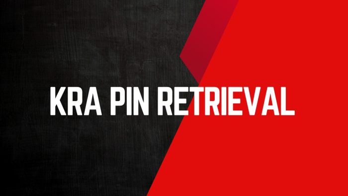 KRA PIN Retrieval